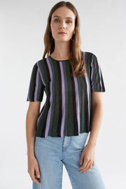 Elk Rik Knit Top - Multi Metallic Stripe