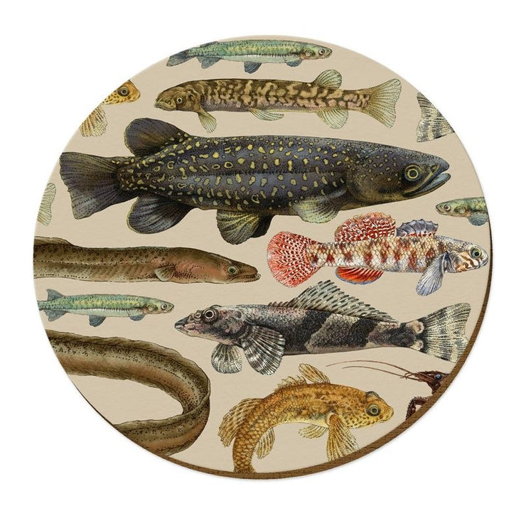 Placemat - Freshwater Fish