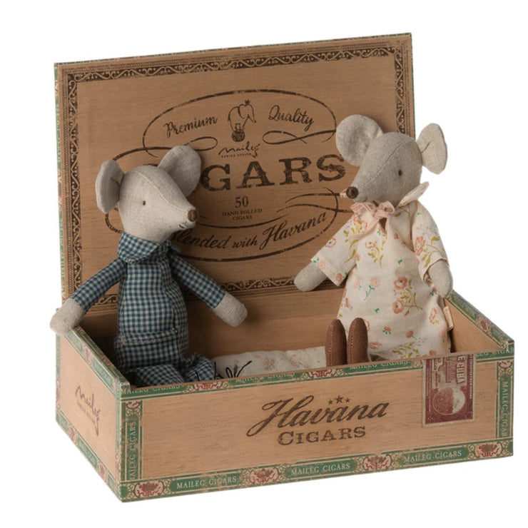 Grandma & Grandpa Mouse In Box