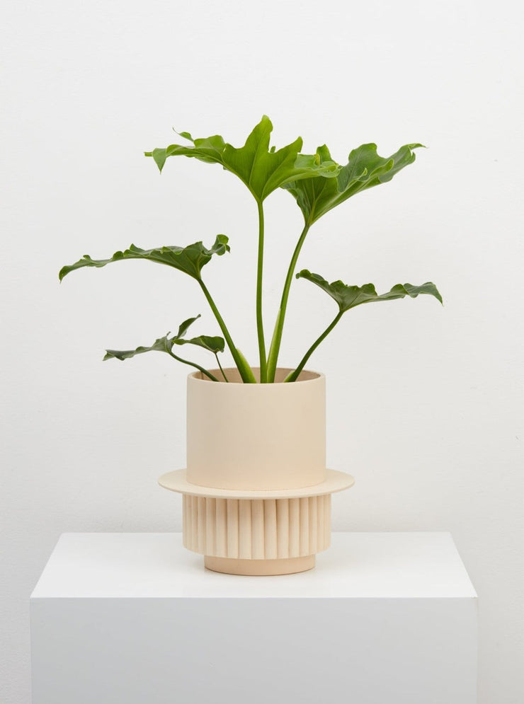 Roma Planter