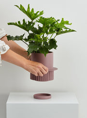 Roma Planter