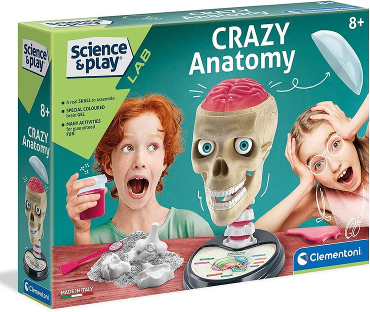 Science & Play - Anatomy Lab