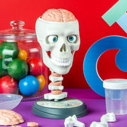 Science & Play - Anatomy Lab