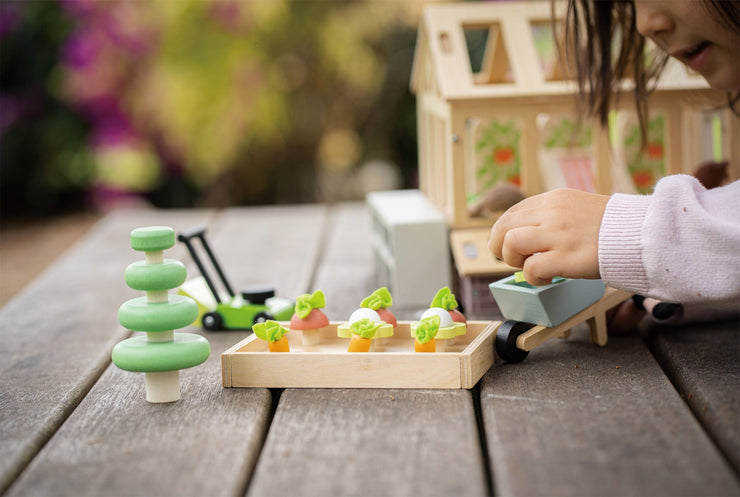 Greenhouse with Garden Set