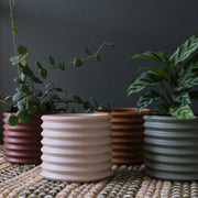 Berlin Planter - Cinnamon