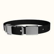 Frank Green Pet Collar - Large Assorted Colours Was $99 Now