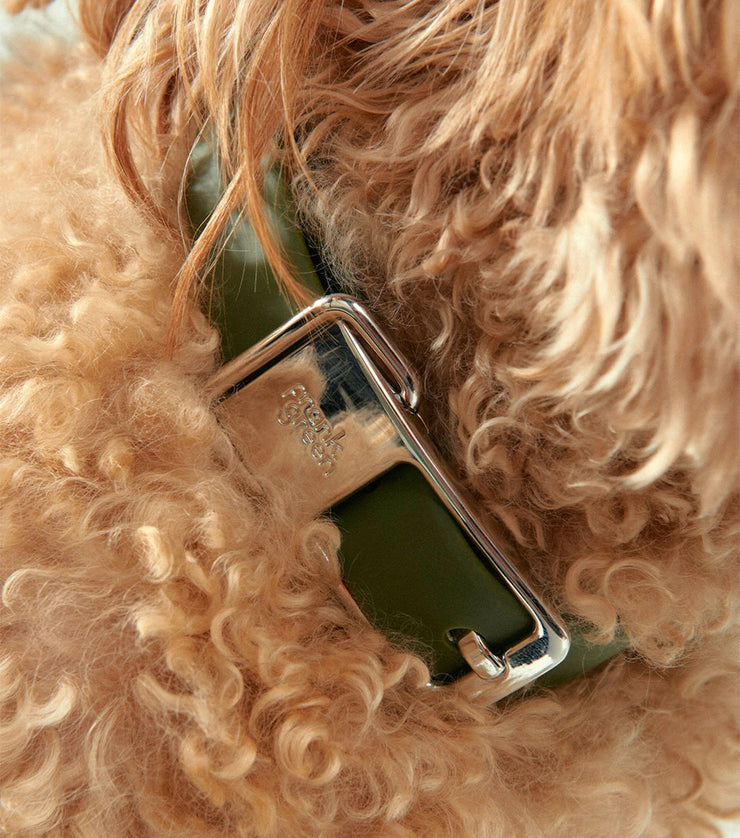 Frank Green Pet Collar - Large Assorted Colours Was $99 Now